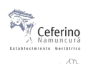Ceferino Namuncurá